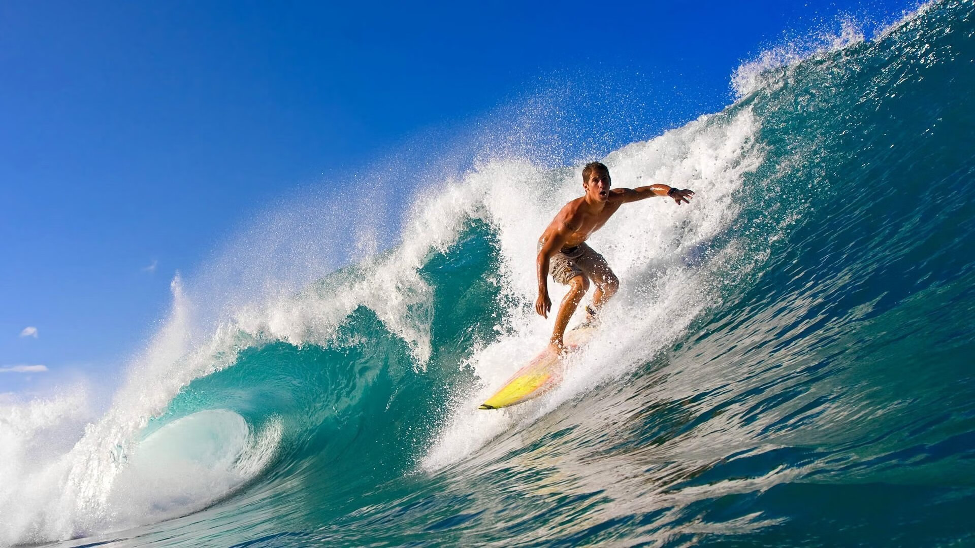 体育产业品牌竞争加剧，体育品牌市场